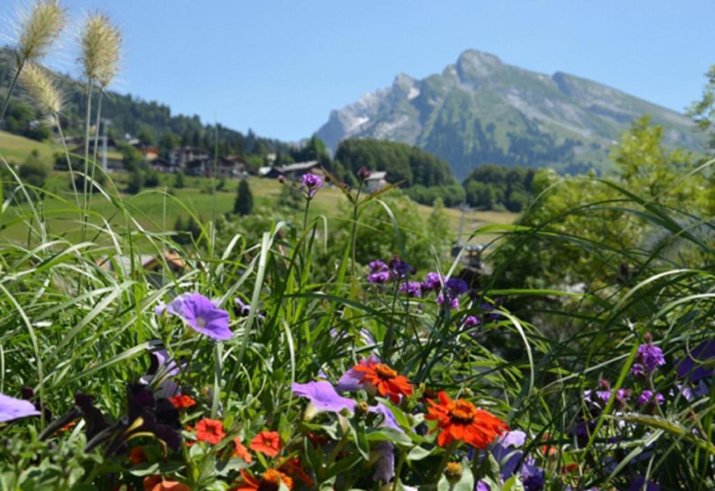 Hotel Christiania La Clusaz Ngoại thất bức ảnh